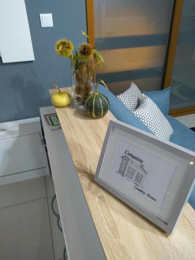 קסטלו דה פייבה Canastro Country House מראה חיצוני תמונה