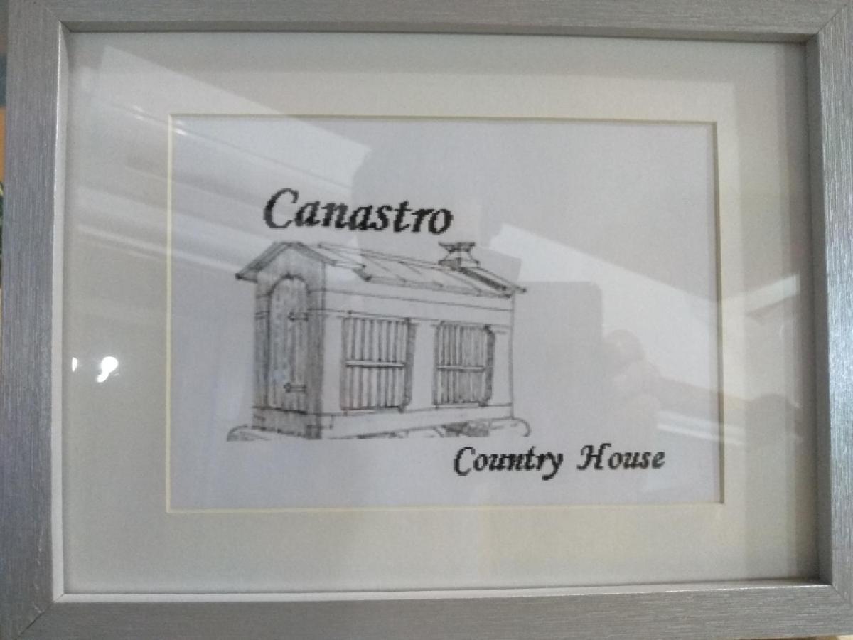 קסטלו דה פייבה Canastro Country House מראה חיצוני תמונה